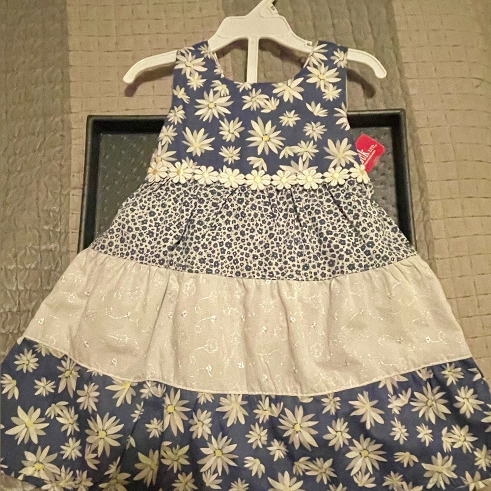 Charming Daisy Print Dress in Blue and White